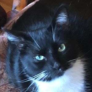 Meet your Posher, Alicia